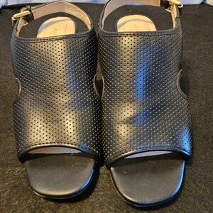 Liz Claiborne Women Broad Healed Sandals